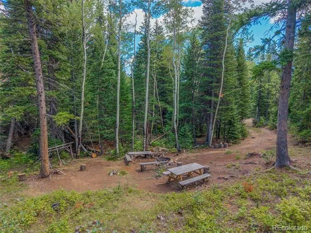 241 County Road 126 Nederland, CO 80466