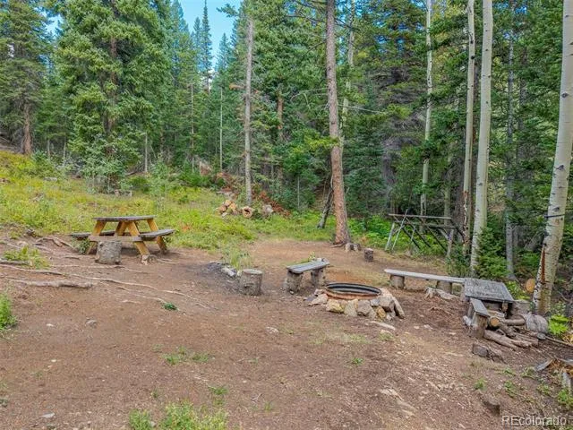 241 County Road 126 Nederland, CO 80466