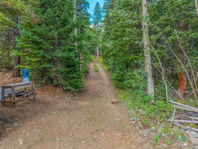 241 County Road 126 Nederland, CO 80466
