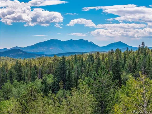 241 County Road 126 Nederland, CO 80466