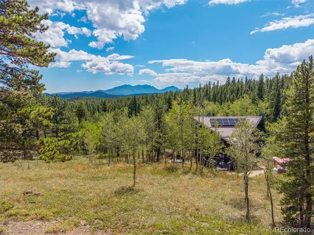 241 County Road 126 Nederland, CO 80466