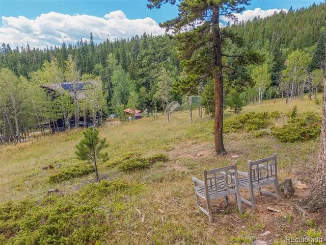 241 County Road 126 Nederland, CO 80466
