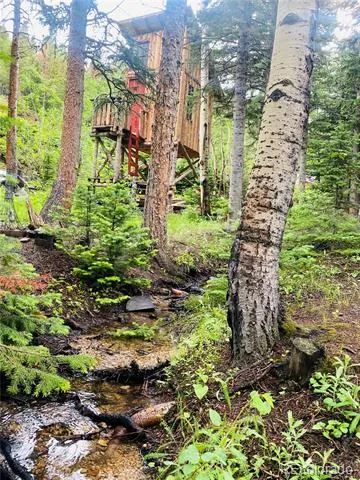 241 County Road 126 Nederland, CO 80466