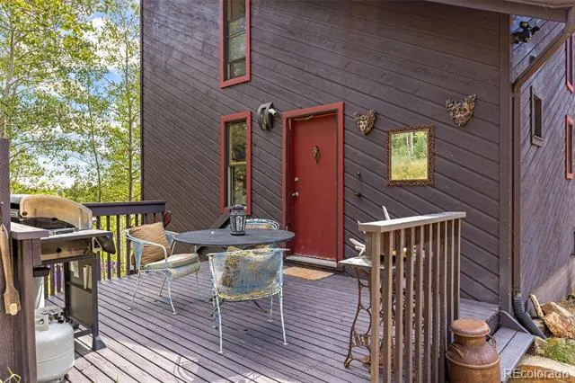 241 County Road 126 Nederland, CO 80466