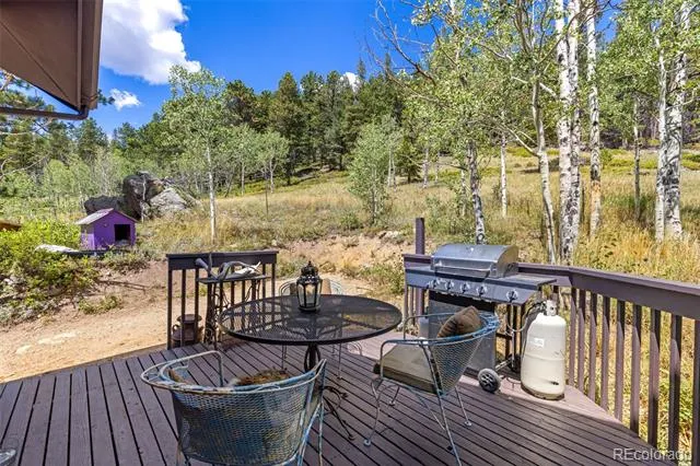241 County Road 126 Nederland, CO 80466