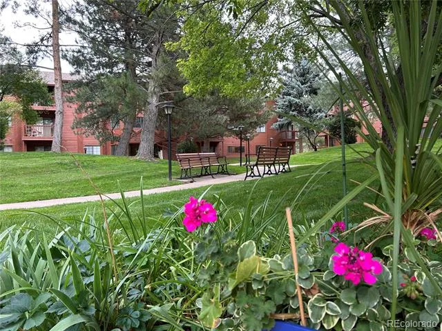 2440 Palmer Park Boulevard #104 Colorado Springs, CO 80909