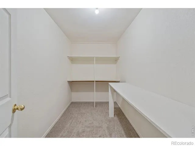 208 Egyptian Court Fort Collins, CO 80525