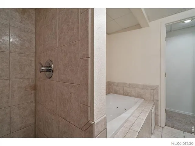 208 Egyptian Court Fort Collins, CO 80525
