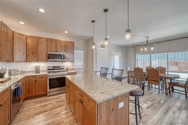 1218 Silver Vault Street Leadville, CO 80461
