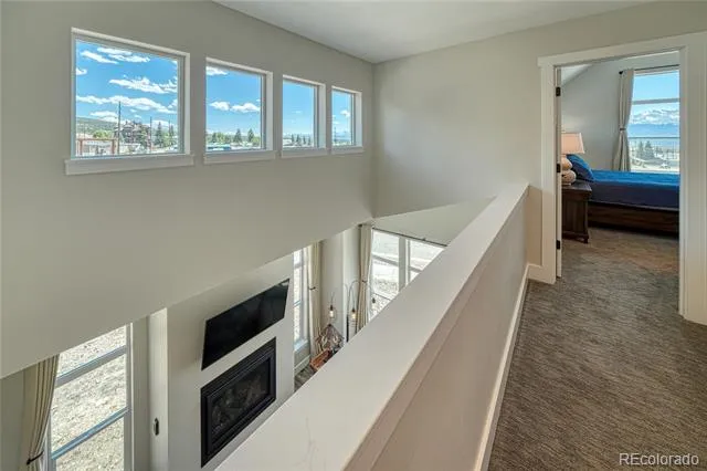 1218 Silver Vault Street Leadville, CO 80461