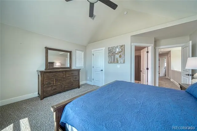 1218 Silver Vault Street Leadville, CO 80461