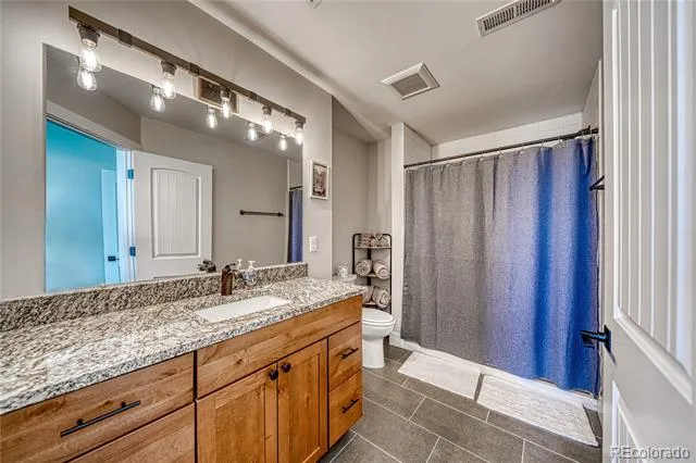 1218 Silver Vault Street Leadville, CO 80461
