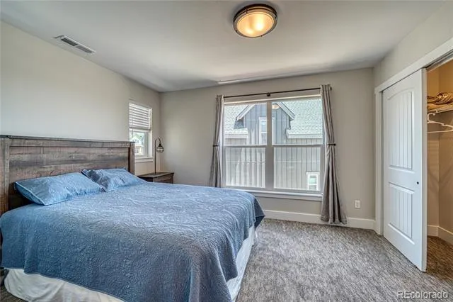 1218 Silver Vault Street Leadville, CO 80461