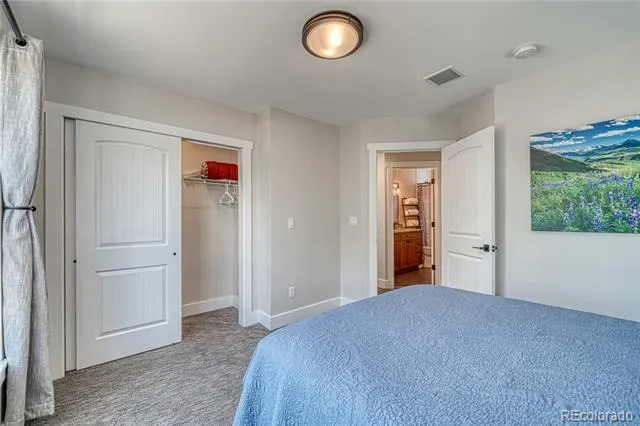 1218 Silver Vault Street Leadville, CO 80461