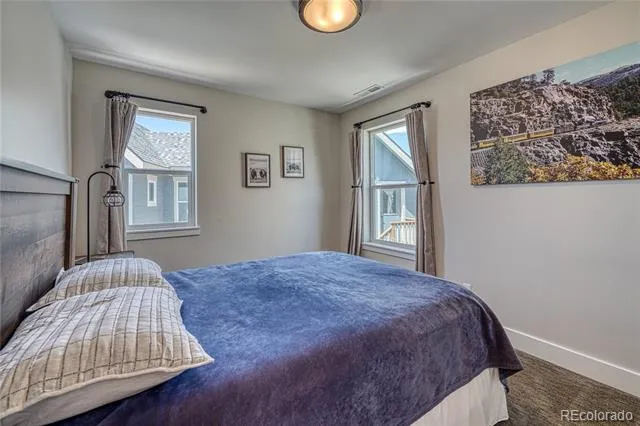 1218 Silver Vault Street Leadville, CO 80461