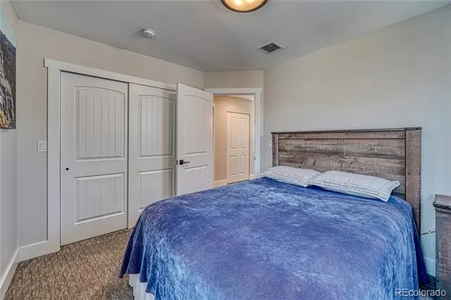 1218 Silver Vault Street Leadville, CO 80461