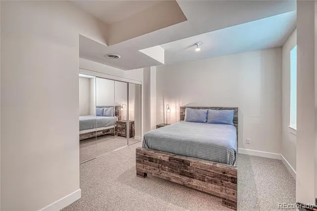1218 Silver Vault Street Leadville, CO 80461