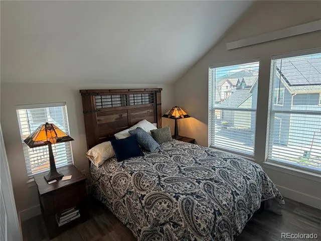 1218 Silver Vault Street Leadville, CO 80461