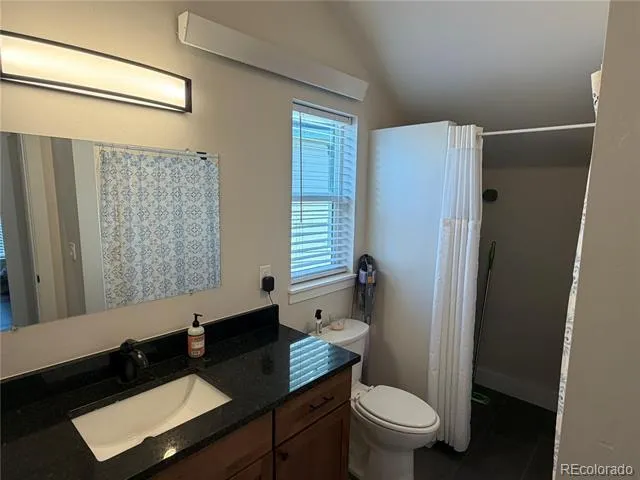 1218 Silver Vault Street Leadville, CO 80461