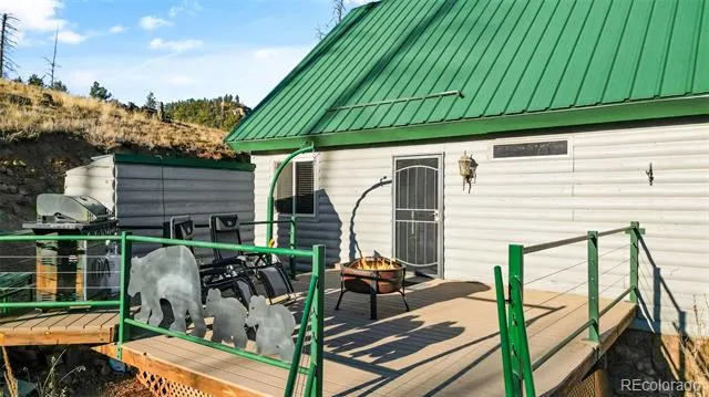 3631 Cr 33 Drive #33 Florissant, CO 80816