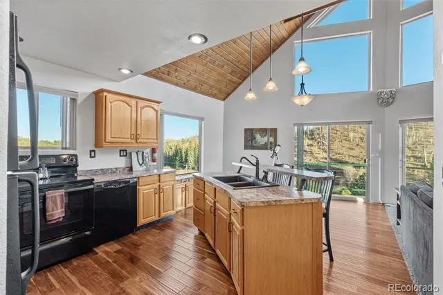 3631 Cr 33 Drive #33 Florissant, CO 80816