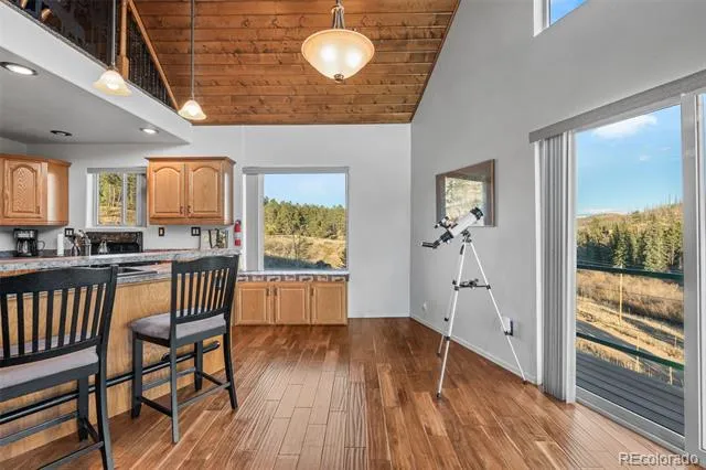 3631 Cr 33 Drive #33 Florissant, CO 80816