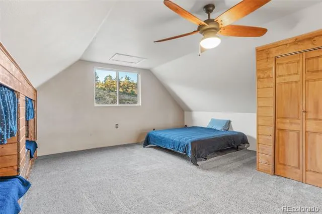 3631 Cr 33 Drive #33 Florissant, CO 80816