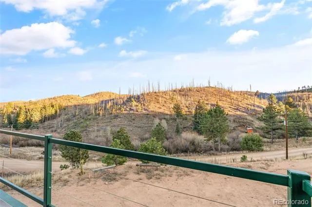 3631 Cr 33 Drive #33 Florissant, CO 80816