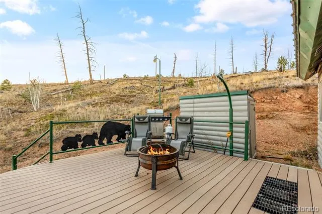 3631 Cr 33 Drive #33 Florissant, CO 80816