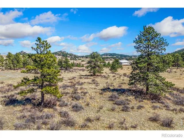 126 Cucharas Mountain Drive Livermore, CO 80536