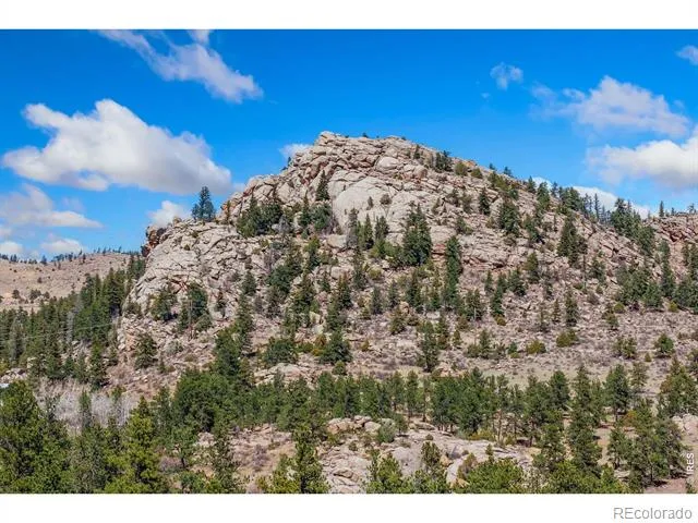 126 Cucharas Mountain Drive Livermore, CO 80536
