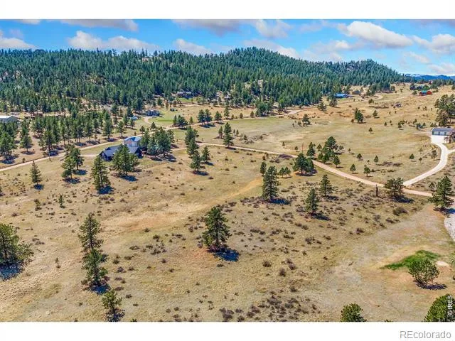 126 Cucharas Mountain Drive Livermore, CO 80536