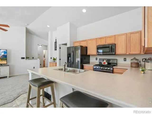 259 Castle Drive Severance, CO 80550