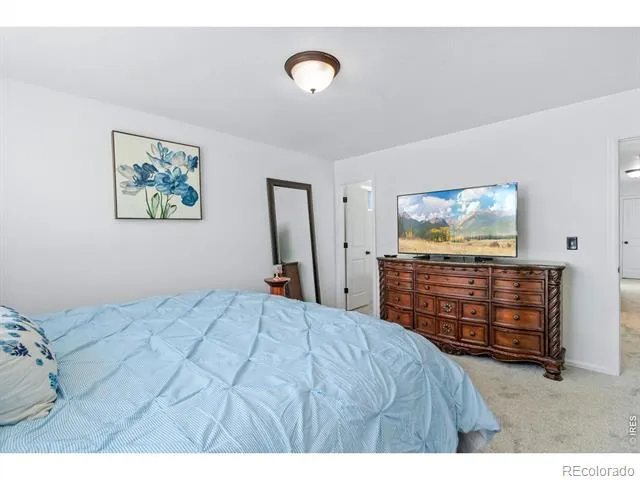 259 Castle Drive Severance, CO 80550