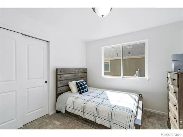 259 Castle Drive Severance, CO 80550
