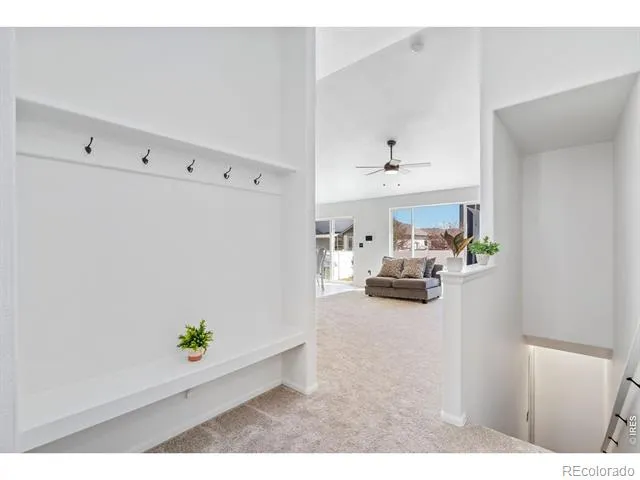 259 Castle Drive Severance, CO 80550
