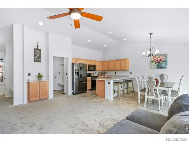 259 Castle Drive Severance, CO 80550