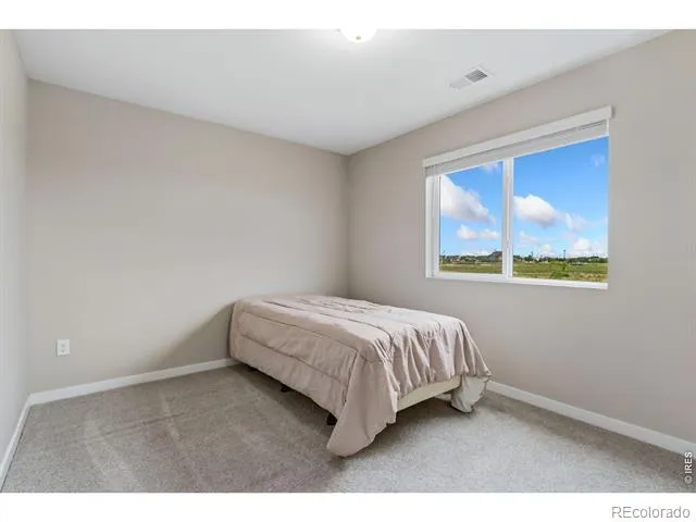 4510 Barrow Lane Timnath, CO 80547