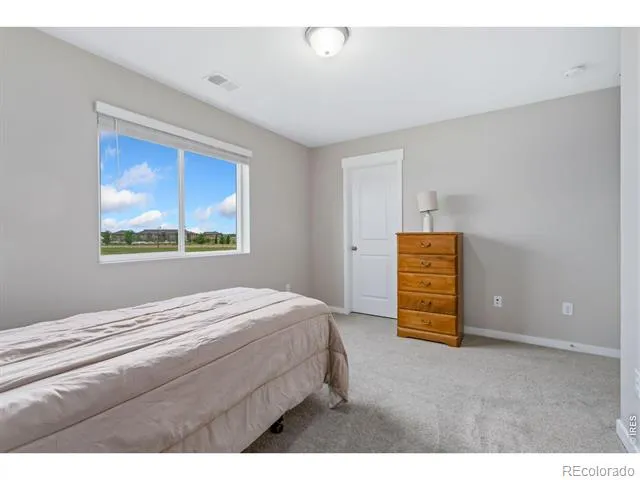 4510 Barrow Lane Timnath, CO 80547