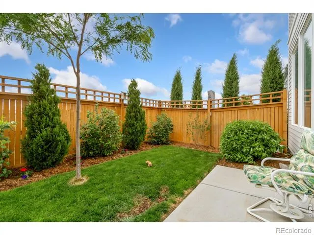 4510 Barrow Lane Timnath, CO 80547