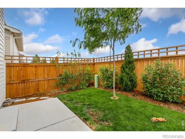 4510 Barrow Lane Timnath, CO 80547