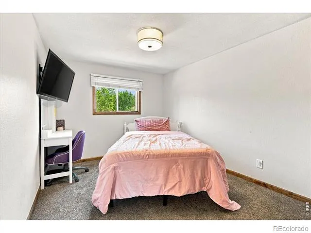 343 Hawthorn Drive Loveland, CO 80538