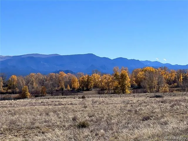 000 County Road 361 Buena Vista, CO 81211