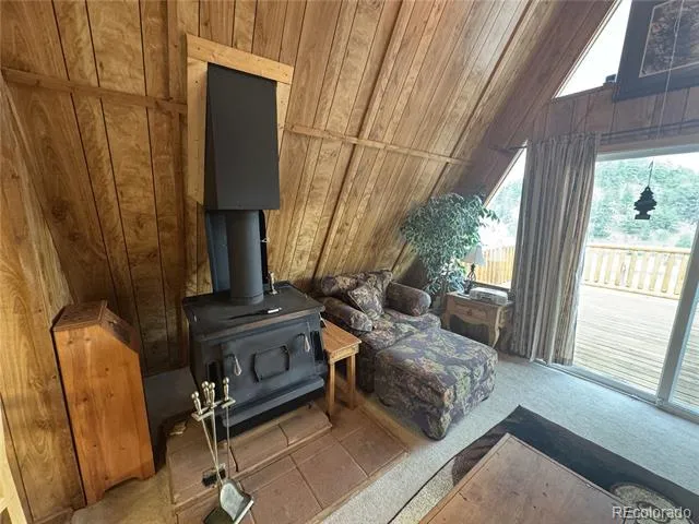 15 Dogie Trail Florissant, CO 80816