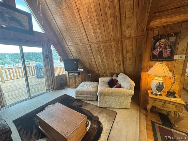 15 Dogie Trail Florissant, CO 80816