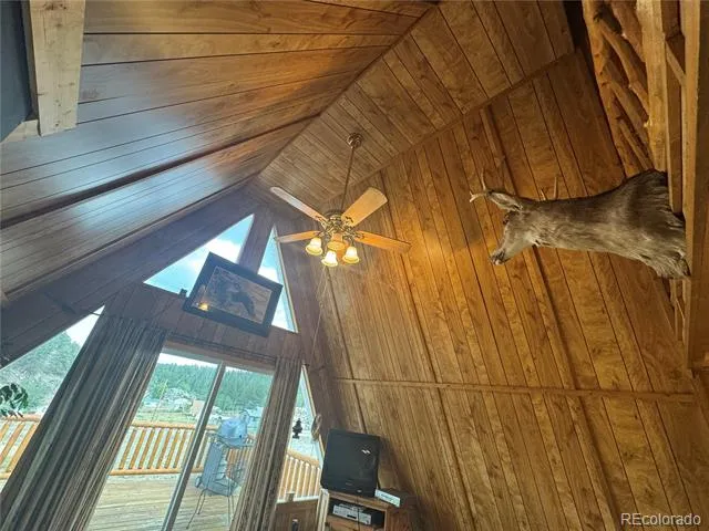 15 Dogie Trail Florissant, CO 80816