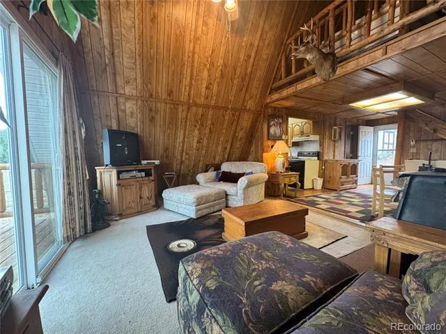 15 Dogie Trail Florissant, CO 80816