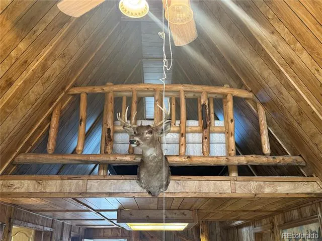 15 Dogie Trail Florissant, CO 80816