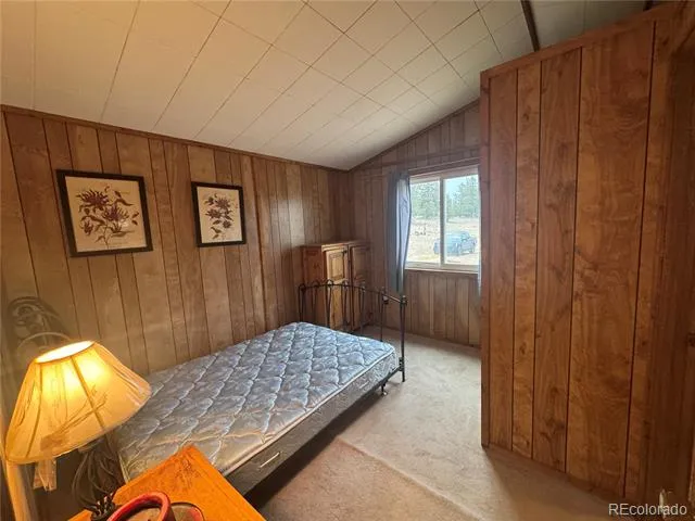 15 Dogie Trail Florissant, CO 80816