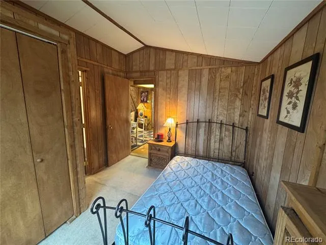 15 Dogie Trail Florissant, CO 80816